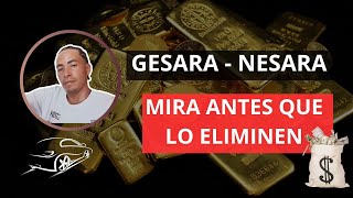 💲Ley Gesara  Nesara lo que Debes Saber⤵ [upl. by Annej70]