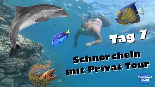 Ägypten 🇪🇬🐫  TAG 7  Private Schnorchel Tour zu geheimen Spots 🐠🐟🐬🐡  die PÜFFCHENS [upl. by Eellac531]