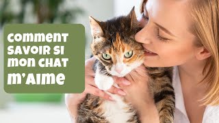 Comment savoir si mon chat maime10 signes que le prouvent [upl. by Onafets785]