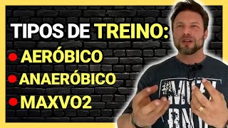 A DIFERENÇA ENTRE AERÓBICO ANAERÓBICO E MAXVO2  Paulo Muzy [upl. by Bergstein212]