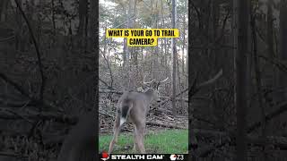 What cellular trail camera do you trust [upl. by Yruok]