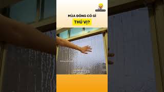 Mùa đông có gì thú vị [upl. by Avek]