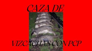 CAZA de VIZCACHAS con PCP R3 800 Y SLUG DE 27 GRS [upl. by Arratahs]