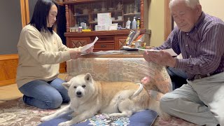 【ご報告】もうすぐ１５歳を迎える柴犬の春の健康診断結果について [upl. by Congdon]