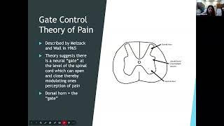 Neuromodulation A NonNarcotic Treatment Modality for Chronic Pain  7152024 [upl. by Ylatan168]