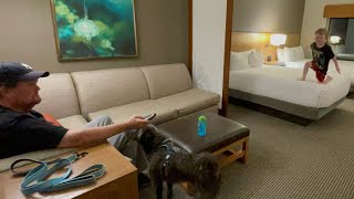 Hyatt Place OrlandoLake Buena Vista Pet Friendly Stay [upl. by Nynahs163]