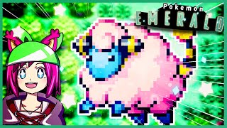 2 YEARS LATER A SAFARI WEEK SHINY   LIVE REACTION FULL ODDS✨  POKEMON EMERALD [upl. by Porcia237]