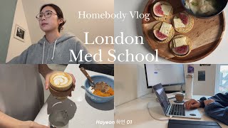 Homebody Med Student vlog  Chitchat Life updates 런던 의대생 브이로그 [upl. by Yerfej]