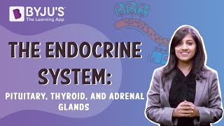 The Endocrine System  Pituitary Thyroid And Adrenal Glands  Class 10  Learn With BYJUS [upl. by Anned]