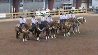 Rockin Riders 2011 Equestrian Drill team [upl. by Hairehcaz734]