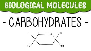 A Level Biology quotCarbohydratesquot [upl. by Pascale]