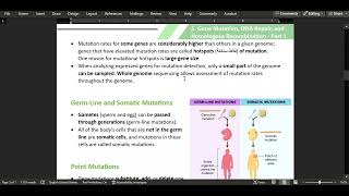 5 Gene Mutation DNA Repair and Homologous Recombination  Part 1 [upl. by Eniawed517]