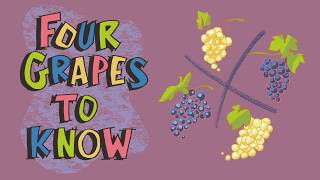 Explaining Wines from Spain 4 Grapes to Know [upl. by Acinomal953]