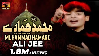 Muhammad Hamare Ali Shanawar amp Ali jee 2013 14 [upl. by Nylirehs266]