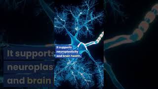 Nicotinamide Riboside NAD Booster [upl. by Barhos]