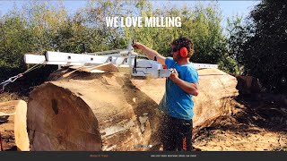 Milling a Massive Oak Tree with 60quot Chainsaw and Alaskan Mill [upl. by Illah]