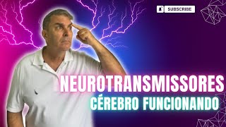 Neurotransmissores Dr Nelson Marques [upl. by Mcquillin]