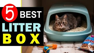 Best Cat Litter Box 2024 🏆 Top 5 Best Cat Litter Box Reviews [upl. by Ready]