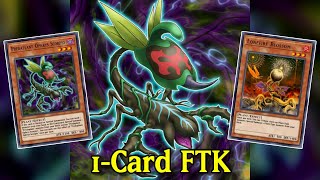 1Card Combo Predaplant Ophrys Scorpio 1Card and cost FTK YuGiOh Duel Links [upl. by Mackay]