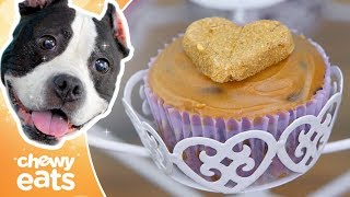 Peanut Butter amp Banana Dog Cupcakes Recipe  Chewy Eats [upl. by Vivianna969]