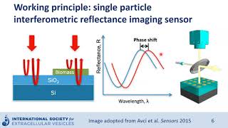 Single particle interferometric reflectance imaging sensor to characterize extracellular vesicles [upl. by Inajna]