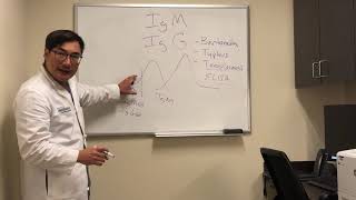 Immunoglobulin IgG and IgM interpretation of serological tests [upl. by Owiat]