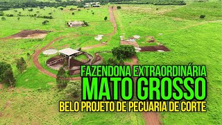 FAZENDA DE DUPLA APTIDÃO À VENDA PECUÁRIA DE CORTE EM NOVA XAVANTINAMT [upl. by Nuahs]