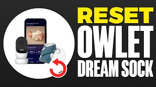 How To Reset Owlet Dream Sock 2024 [upl. by Tayyebeb]