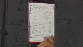 To study homologous and analogous organ in plants and animals class 12 biology practical [upl. by Good]