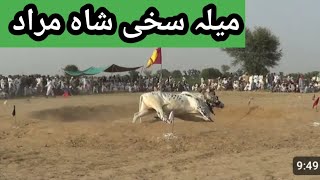 Jalsa bail dor khanewal Punjab Pakistan 2024 [upl. by Atinej]