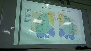 FISIOLOGIA FISIOPATOLOGIA FASE 2 PRACTICA 1 Y 2 [upl. by Lacee]