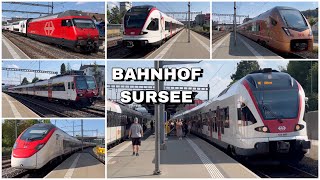 Züge beim Bahnhof Sursee  Trains at Sursee station 2023 [upl. by Eidnas]