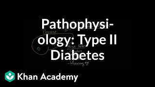 Pathophysiology  Type II diabetes  Endocrine system diseases  NCLEXRN  Khan Academy [upl. by Nonac179]