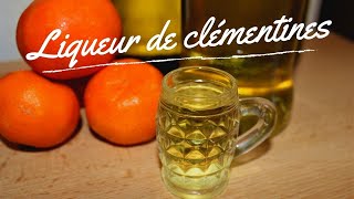 Liqueur de clémentines  A consommer avec modération  Cest encore la saison 🍊🍹😊 [upl. by Malamut]