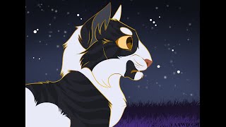 The AccidentSwiftpaw Warrior Cats [upl. by Lamphere]