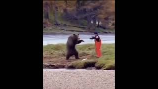 Bear fights man REAL FOOTAGE 4k Hd quality [upl. by Haimaj]