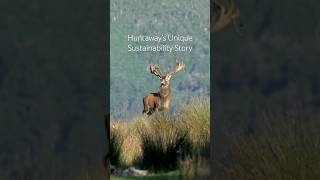 Huntaways Unique Sustainability Story  Wild Venison Raw Dog Food [upl. by Ainesej137]