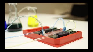 Activating a Microfluidic Chip with a Micropump  Bartels Mikrotechnik [upl. by Schramke]