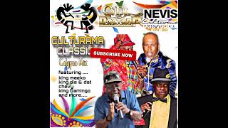 Nevis Culturama Classic Calypso Mix 2024  DJ Doctor P [upl. by Heyman]