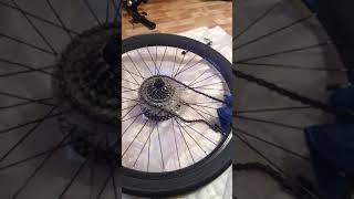 How to remove bicycle cassette freewheel with no special tool [upl. by Ahseikram]