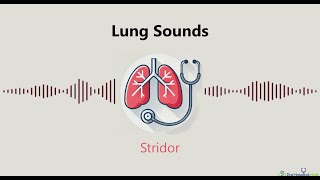 Lung Sounds Stridor [upl. by Nytsuj]