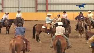 Buck Brannaman Horse Rush TV Australia Part 2 [upl. by Eliathan]