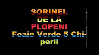 SORINEL DE LA PLOPENI FOAIE VERDE 5 CHIPERII [upl. by Midas]