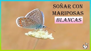 SOÑAR CON MARIPOSAS BLANCAS 🦋😲 SIGNIFICADO DE SOÑAR CON MARIPOSAS BLANCAS GRANDES O VOLANDO ✅ [upl. by Milissa611]