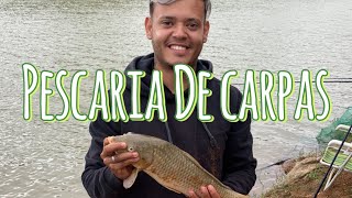 PESCARIA NA REPRESA DE PIRACAIA MUITAS CARPAS E DIVERSÕES 🎣 [upl. by Devora]