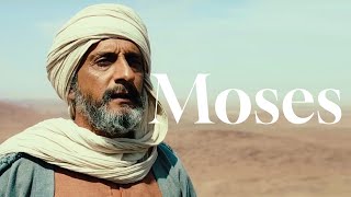 Moses and the story of Exodus [upl. by Margalit998]