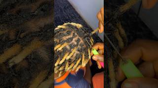 How to do the interlocking method on Locs [upl. by Mason274]