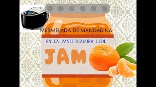 Mermelada de mandarina en panificadora lidl [upl. by Aissilem451]