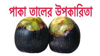 পাকা তাল খাওয়ার স্বাস্থ্য উপকারিতা  Health Benefits of Eating paka tal Bangla [upl. by Milinda]