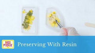 Mod Podge Resin  Preserving with Resin [upl. by Arhas]